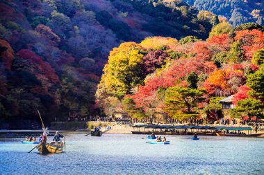 Kırmızı Japon akçaağaç sonbahar sonbahar momiji ağaç kyoto, Japonya