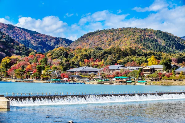 Kırmızı Japon akçaağaç sonbahar sonbahar momiji ağaç kyoto, Japonya — Stok fotoğraf