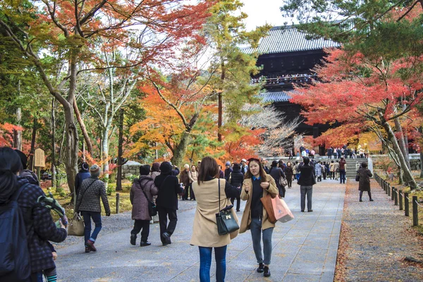 Rosso giapponese acero autunno autunno, momiji albero in kyoto japan — Foto Stock