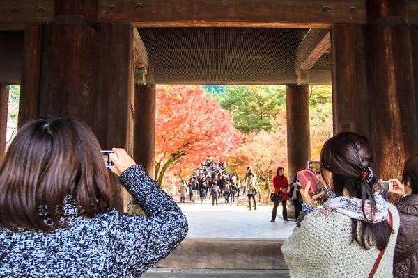 Roter japanischer Ahorn Herbst Herbst, Momiji-Baum in Kyoto Japan — Stockfoto