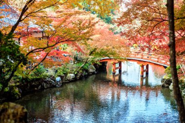 Daigo-ji is a Shingon Buddhist temple in Fushimi-ku clipart