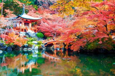 Recai-ji fushimi ku shingon Budist tapınağında olduğunu