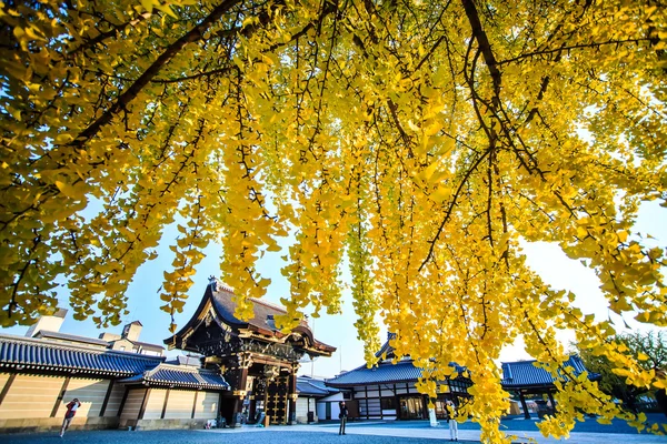 Nishi Hongan-ji — Fotografia de Stock