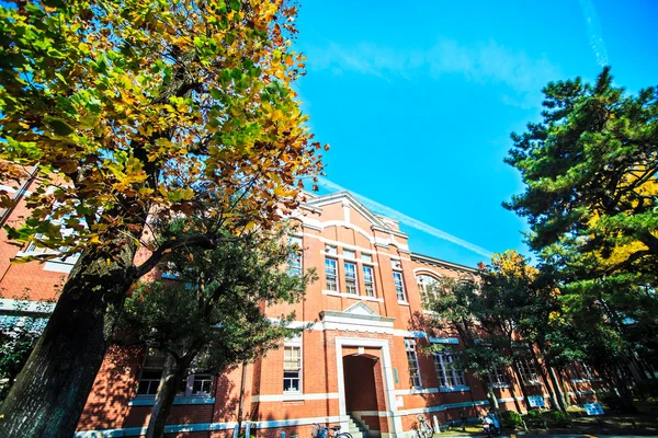 Kyoto University at fall — Stock Photo, Image