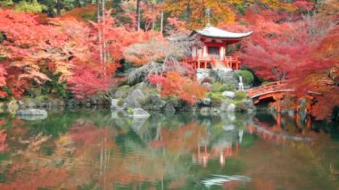 Recai-ji fushimi ku shingon Budist tapınağında olduğunu