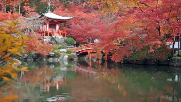 Daigo-ji ist ein buddhistischer Tempel in fushimi-ku — Stockvideo