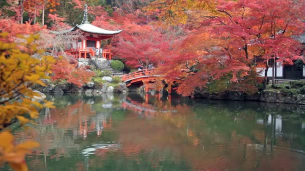 Daigo-ji est un temple bouddhiste shingon à Fushimi-ku — Video