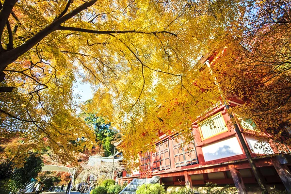 持戒神社在秋季为副词或其他目的使用 — 图库照片