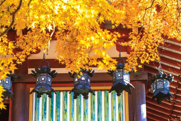 談山神社秋 — ストック写真