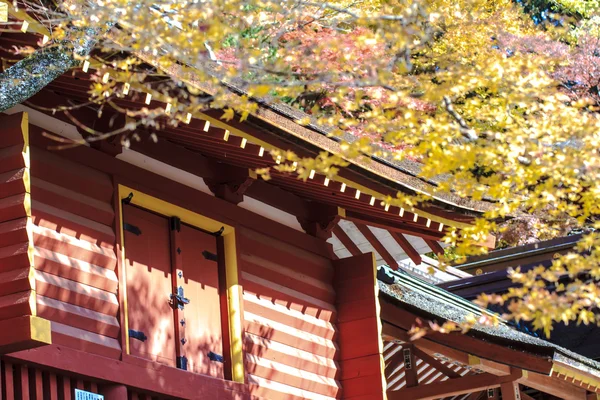 Tanzan Shrine at fall — Stock Photo, Image