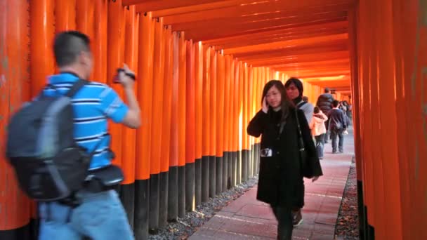 Santuário Fushimi Inari Taisha em Kyoto, Japão — Vídeo de Stock