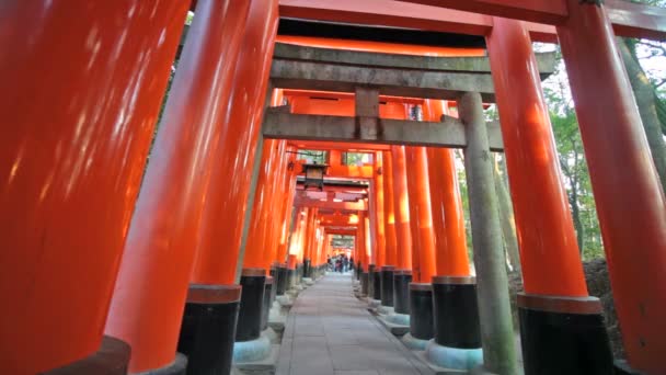 Santuario de Fushimi Inari Taisha en Kyoto, Japón — Vídeo de stock