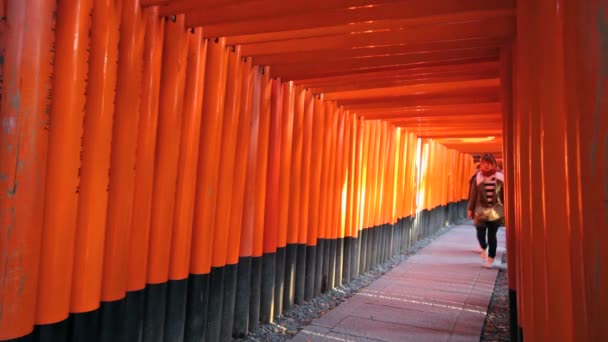 Fushimi Inari Taisha-Schrein in Kyoto, Japan — Stockvideo