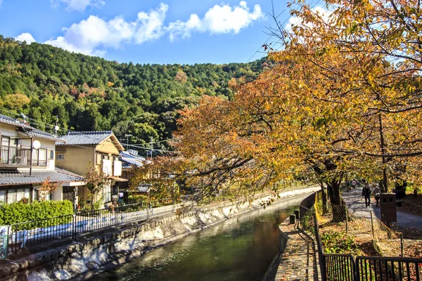 Červené listy javoru v podzimní Japonsko — Stock fotografie