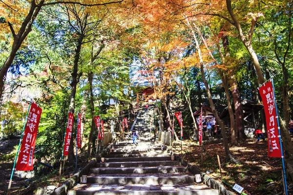 Rode bladeren van de esdoorn in herfst japan — Stockfoto