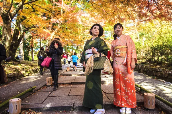 Červené listy javoru v podzimní Japonsko — Stock fotografie