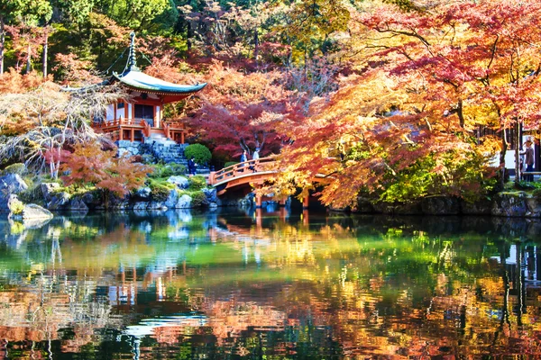 Autumn season,The leave change color of red in Tample japan. — Stock Photo, Image