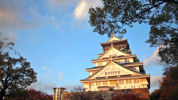 Castelo de Osaka em Osaka — Vídeo de Stock