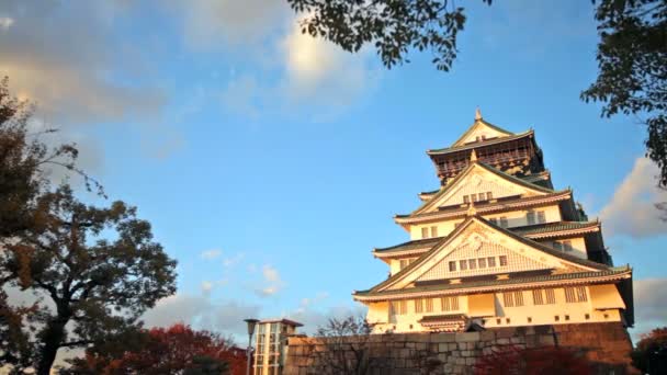 Kasteel Osaka in Osaka — Stockvideo