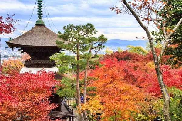 Rote Ahornbäume in einem japanischen Garten — Stockfoto