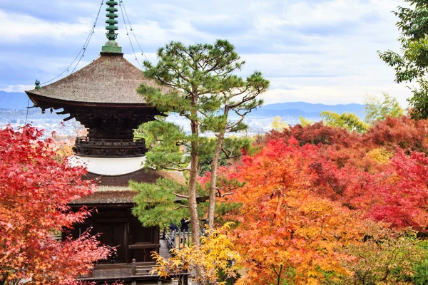 Kırmızı akçaağaç Japon Bahçe — Stok fotoğraf