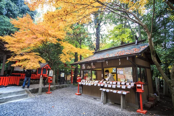 Red maple trees in a japanese garden — Stock Photo, Image