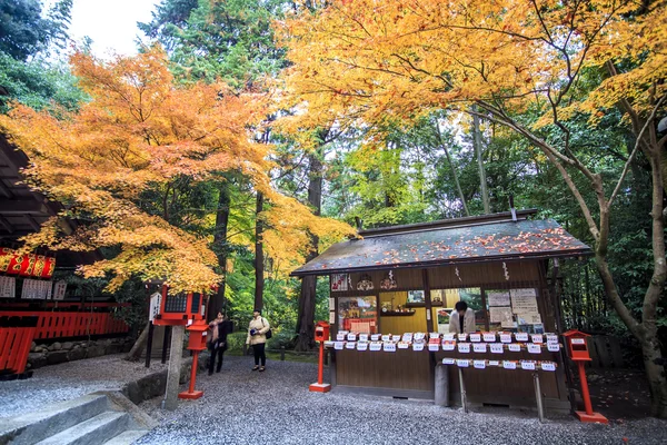 日本庭園の赤いカエデの木 — ストック写真