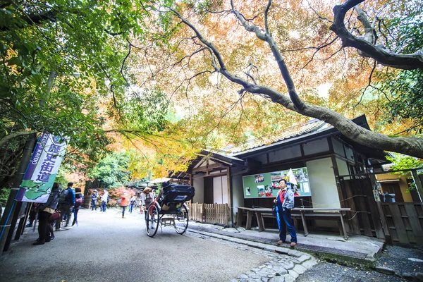 日本庭園の赤いカエデの木 — ストック写真