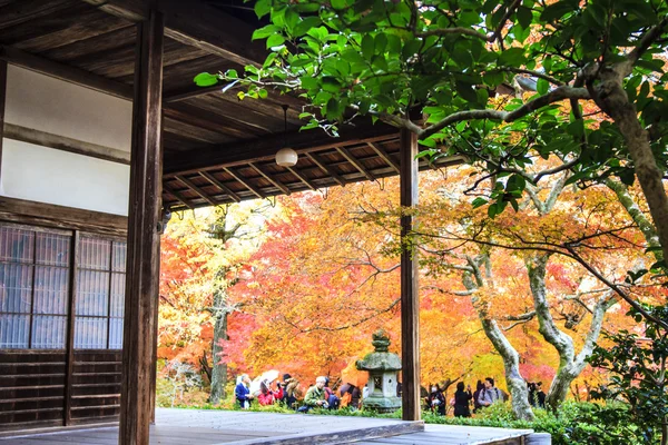 Rote Ahornbäume in einem japanischen Garten — Stockfoto