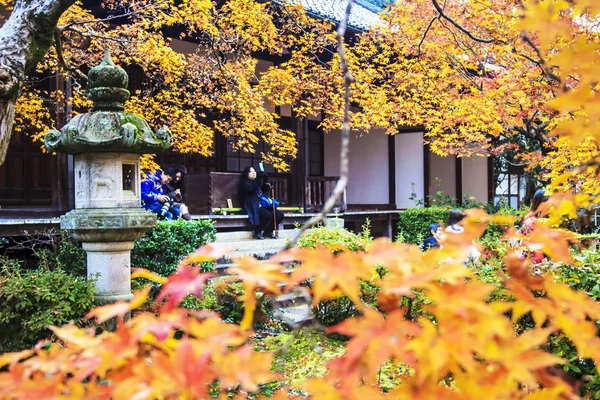 Rode esdoorn bomen in een Japanse tuin — Stockfoto