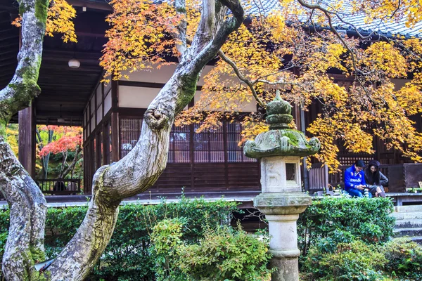 Rode esdoorn bomen in een Japanse tuin — Stockfoto