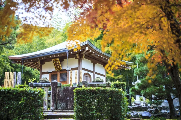 Červených javorů v japonské zahradě — Stock fotografie