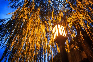 Kiyomizu-dera Tapınağı kapısı kyoto, Japonya