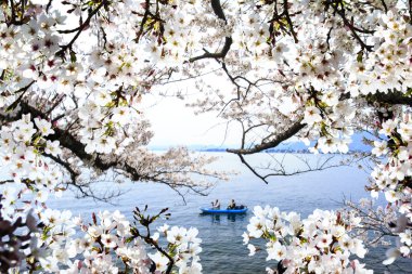 Takashima, Shiga ili Makino şehir Kaizu