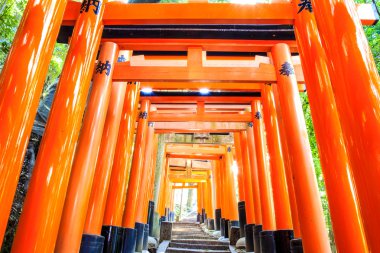 Fushimi Inari taisha