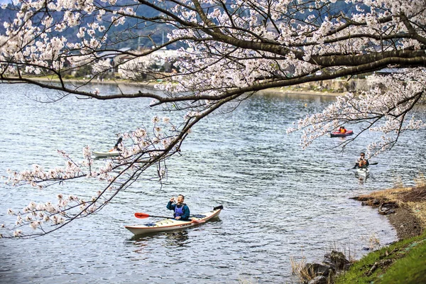 Takashima, Shiga ili Makino şehir Kaizu — Stok fotoğraf