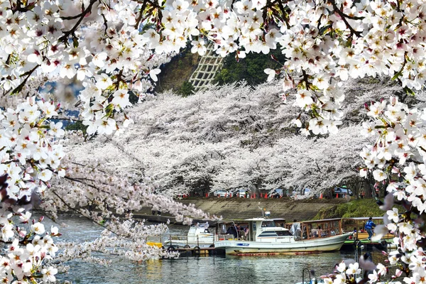 Takashima, Shiga Prefecture Makino stad Kaizu — Stockfoto