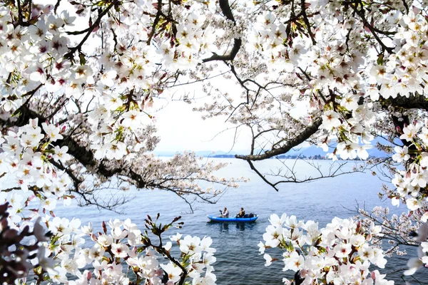 Takashima, Prefeitura de Shiga Cidade de Makino Kaizu — Fotografia de Stock