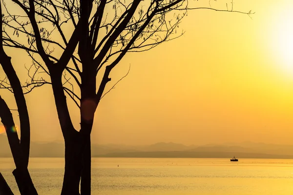 Sunset beside the lake — Stock Photo, Image