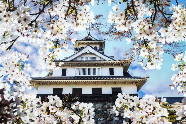 Sakura season, Kyoto, Japan — Stock Photo, Image