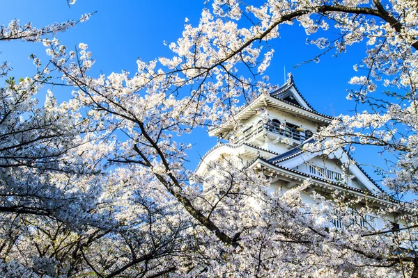 Stagione Sakura, Kyoto, Giappone — Foto Stock