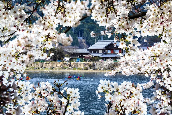 Temporada Sakura, Kyoto, Japão — Fotografia de Stock