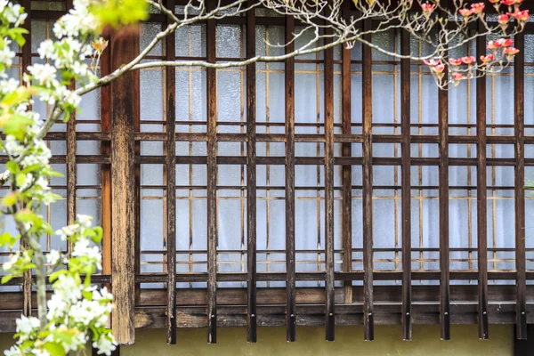 Sakura seizoen, Kyoto, Japan — Stockfoto