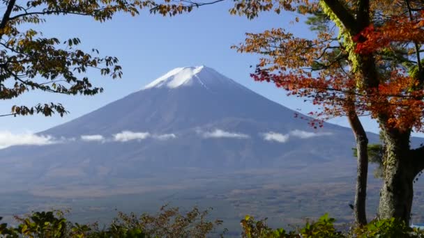 Mt. Fuji with fall colors in Japan — Stock Video