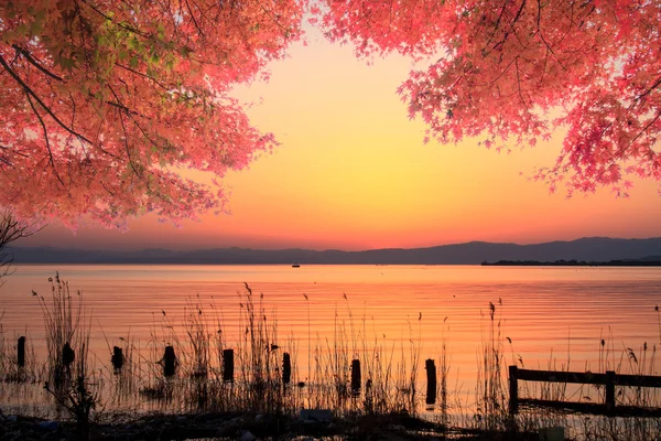 MT. fuji med höstfärger i japan — Stockfoto