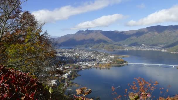 Monte Fuji y flor de cerezo en el lago Kawaguchiko — Vídeo de stock