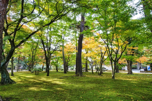 兼六園で Kotoji ランタン — ストック写真