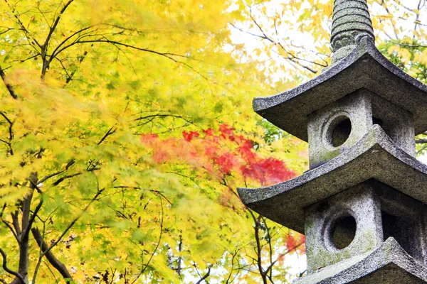 Kenrokuen Bahçe Kotoji fener — Stok fotoğraf