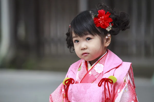 Visitatore veste un tradizionale dree al santuario Meiji-jingu — Foto Stock