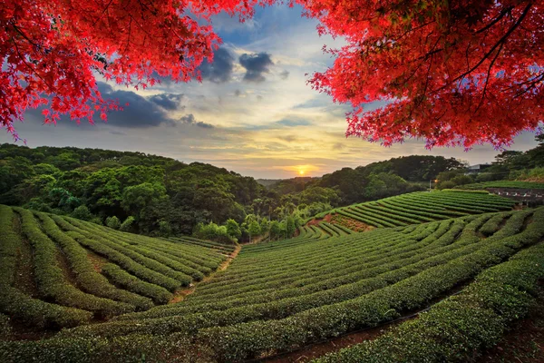 Image de paysage béatifique, Taiwan — Photo